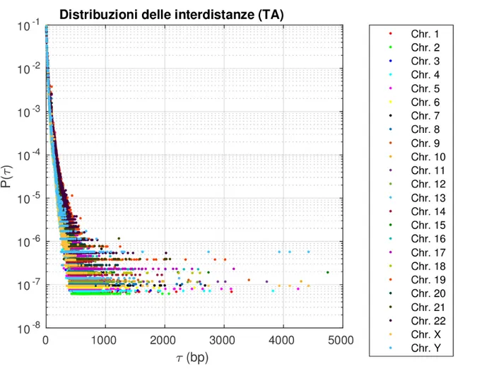 Figura 1.5: Distribuzioni delle interdistanze del dinucleotide TA, in scala semilogaritmica rispetto all’asse delle Y, di tutti i 24 cromosomi umani.
