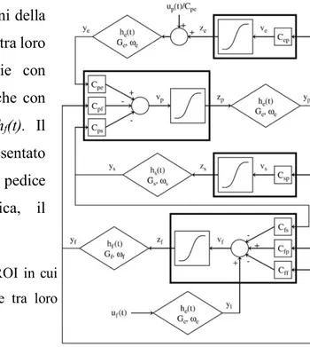 Figura  17  Modello  completo  di  una  singola ROI  in  cui  sono  presenti  le  quattro  popolazioni  connesse  tra  loro  attraverso sinapsi eccitatorie ed inibitorie [19]