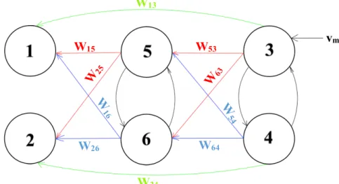 Figura 18 Schema delle sei ROI connesse attraverso connessioni sinaptiche eccitatorie 