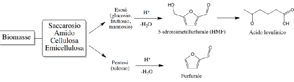 Figura 1.11 – Schema sulla disidratazione dei polisaccaridi provenienti da biomassa per  l’ottenimento delle molecole piattaforma