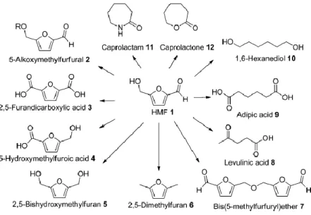 Figura 1.13 – Schema delle molecole ad alto valore aggiunto ottenibili dall’HMF  