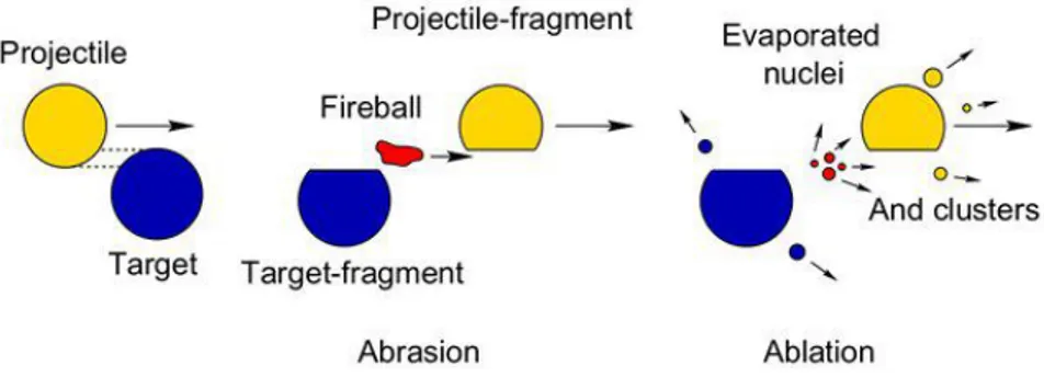 Figura 1.5: Rappresentazione schematica della frammentazione nucleare dovuta a collisioni periferiche secondo il modello abrasione-ablazione.