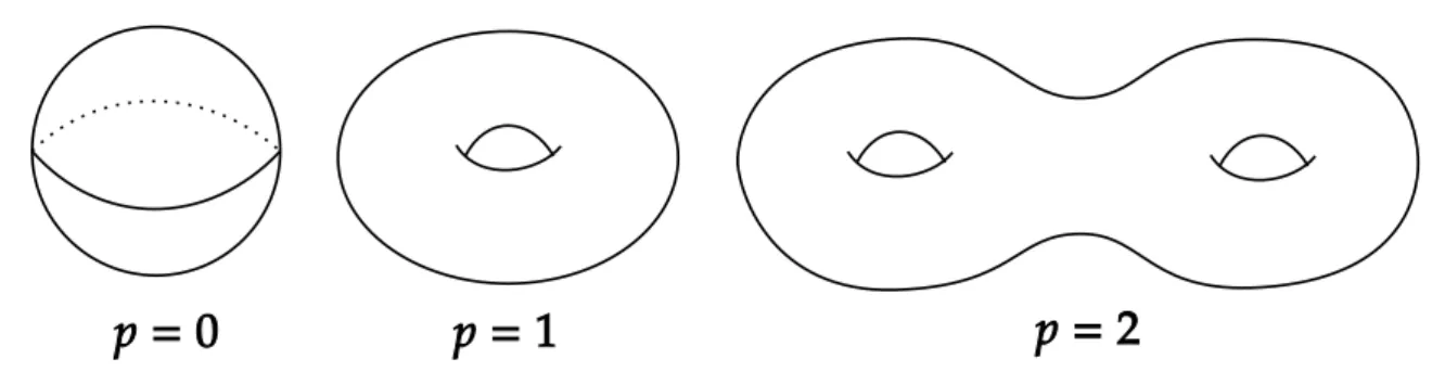 Figure 2.1: Representation of three different surfaces with genera p = 0,1,2. The sphere &#34;has no holes&#34;, meaning that its genus is exactly zero