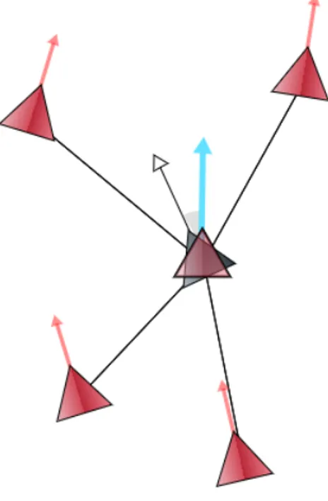 Figura 1.4: L’agente di colore scuro cerca di allineare la propria direzione a quella media degli agenti che vede intorno a se, rappresentata in celeste.