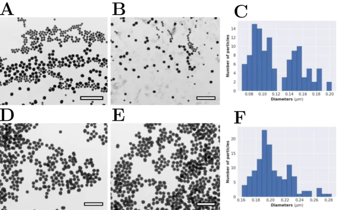 Figure 3.6: (A-B) TEM images of DS01 spherical cores and (C) histogram of size distribution of the obtained sphere