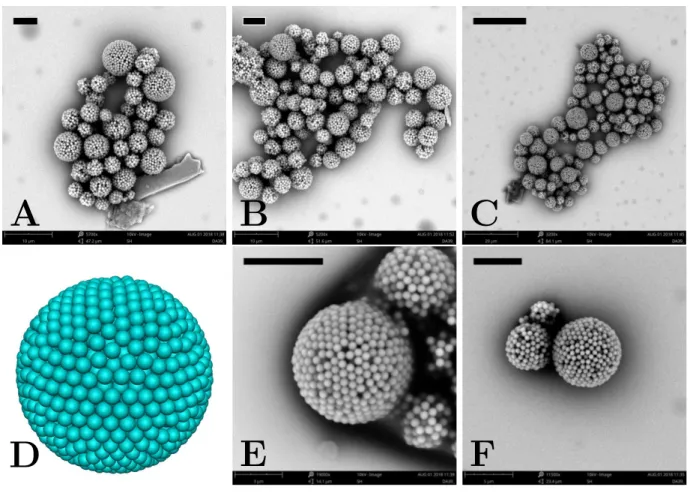 Figure 3.8: A-C Scanning electron microscopy (SEM) images of aggregates of several supra- supra-particles constituted by silica spheres