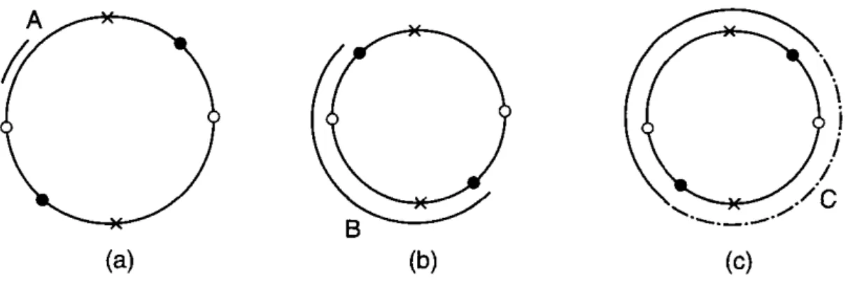 Figura 1.2: Rappresentazione dei tre possibili loop in d = 2 [da [2]]