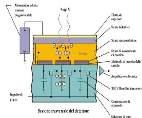Figura 6: Conversione diretta                            Figura 7: Esempio di detector digitale  
