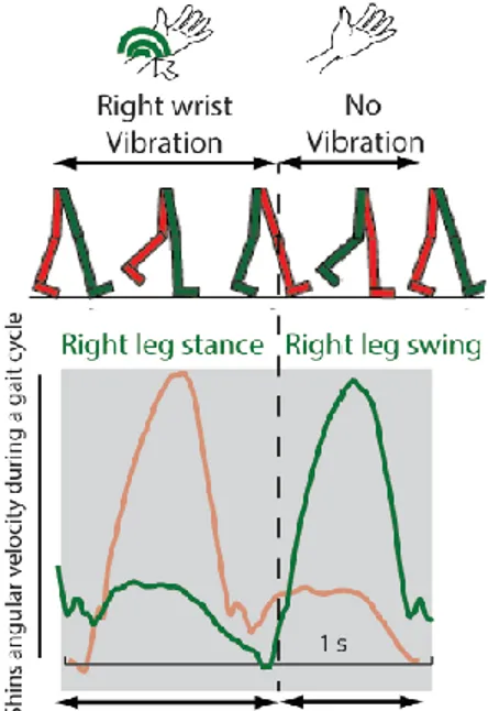 Figure 6 – Diagram explaining the functioning of the VibroGait system       in the open- and closed-loop mode 
