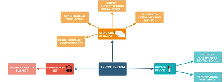 Figure 8  – Diagram of the AX-CPT system  