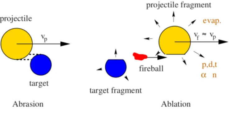 Figura 1.12: Illustrazione del modello abrasione-ablazione per collisioni periferiche ad alte energie secondo il modello di Sorber [6].