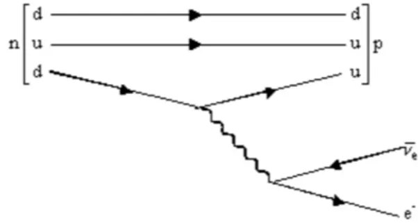 Figure 1.4: Feynman diagram of the β decay. A conversion of a quark d in a quark u with the emission of a W − boson, which later generates a couple e − and ν e .