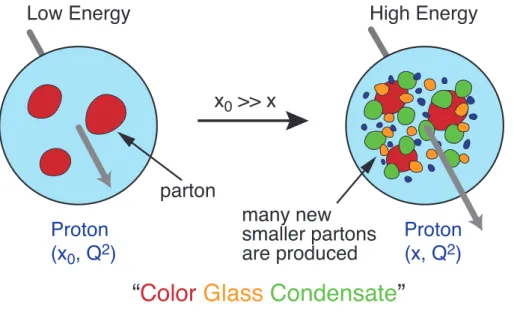 Figura 1.5: Rappresentazione di come si presentano i nucleoni ad alte energie, dove si nota un notevole aumento di partoni (gluoni + quark virtuali) [1]