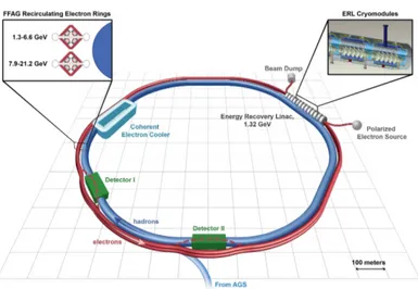 Figura 1.1: Schema dell’eRHIC proposto dal BNL che richiede la costruzione dell’ERL (rosso) all’interno dei tunnel dei RHIC già esistenti [1]