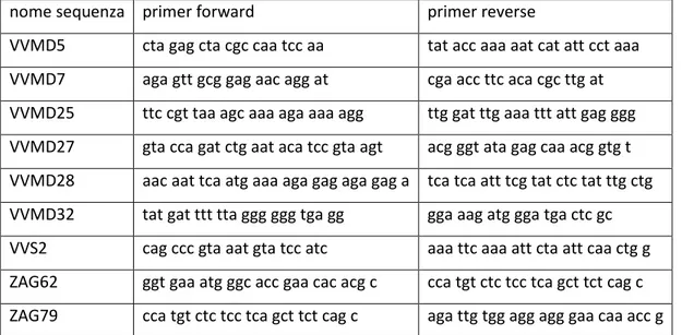 Tabella 4.2 Sequenze dei 9 primers usati per le analisi molecolari.