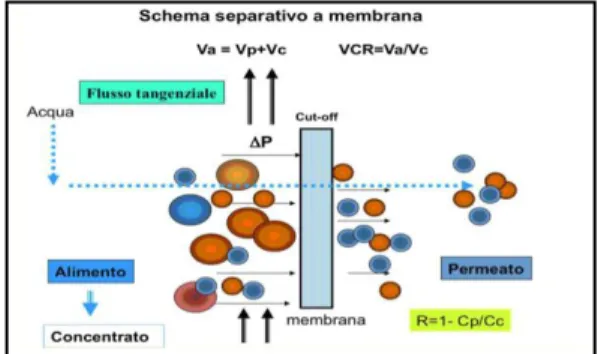 Figura 3: Schema separativo a membrana (Pizzichini et al., 2009). 