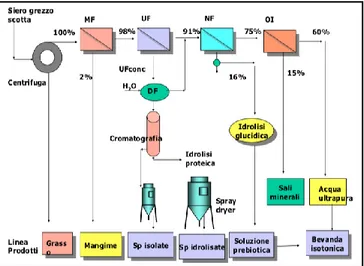 Figura 4:Schema riassuntivo dei processi di ottenimento delle proteine del siero (Depuydt, 2008)