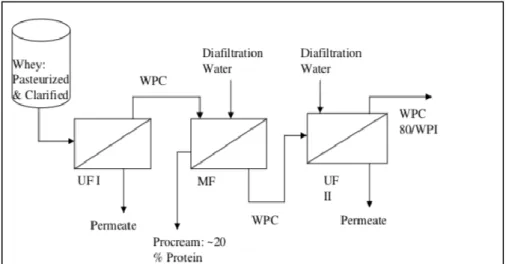 Figura  7:  Diagramma  di  flusso  del  processo  di  produzione  delle  WPI  (Marella,  2009) 