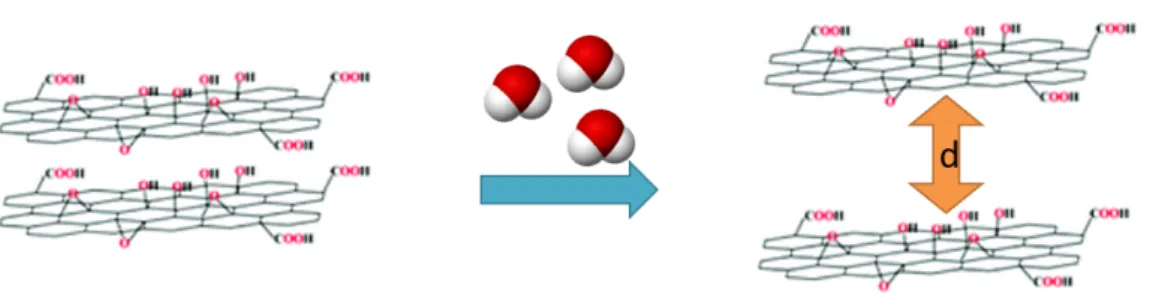 Figura 1.8: Aumento della spaziatura nelle membrane di GO in seguito all'assorbimento di acqua