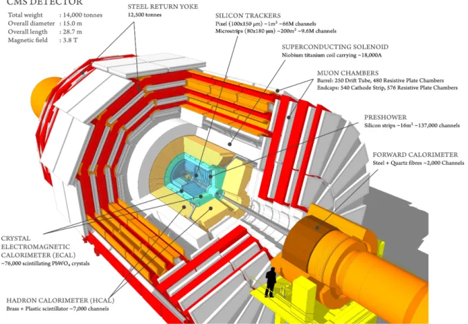 Figure 2.1: The structure of the CMS detector
