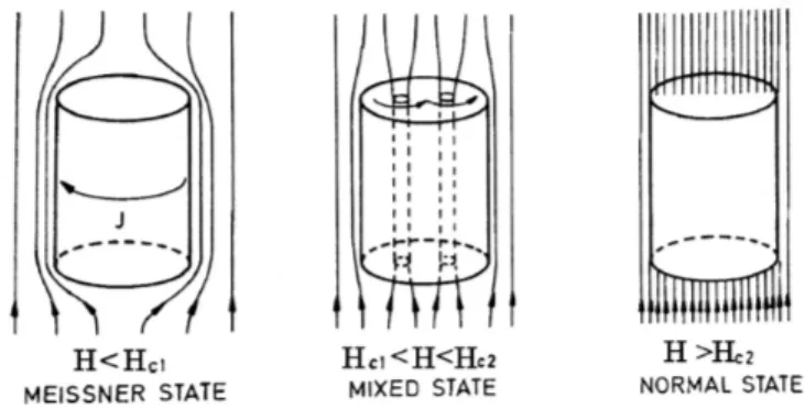 Figura 1.10: Rappresentazione della graduale penetrazione del campo magnetico esterno H in un superconduttore di tipo II.