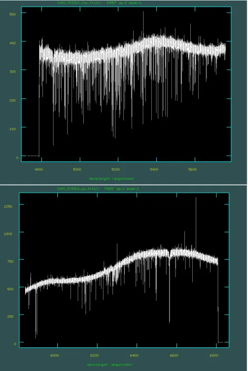 Figura 2.1: Esempio di spettri low (pannello in alto) e up (pannello in basso) per la stella candidata E-BSS con identificativo #703318, acquisito con lo spettrografo UVES.
