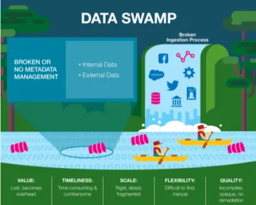 Figura 1.5: Caratteristiche del Data Swamp [12]