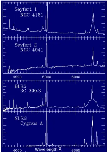 Figure 1.3: Optical spectra of four different AGN classes. From top to bottom panel: Seyfert 1, Seyfert 2, BLRG and NLRG spectrum
