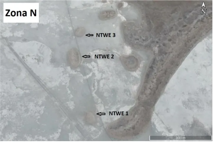 Figura  9:  Immagine  satellitare  mostrante  l’ubicazione  dei  sondaggi  Ntwe1,  Ntwe2,  Ntwe3  nella  Zona  N  con  coordinate 20°28'51.85&#34;S 25°24'35.86&#34;E (poligono viola della Figura 1B)