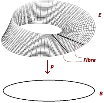 Figura 1.1: il nastro di Moebius come fibrato.
