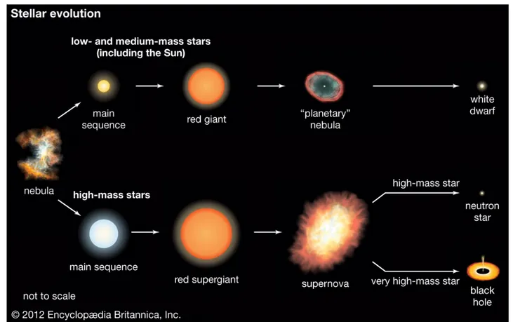Figura 1.1: Immagine schematica della vita di una stella in base alla massa iniziale. Immagine tratta dall’enciclopedia Britannica, 2012.