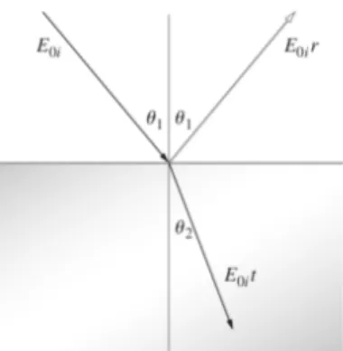Figura 2: Riessione e rifra- rifra-zione di un raggio di luce.