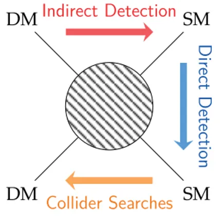 Figure 3.5: A graphical repre- repre-sentation of the detection  meth-ods of dark matter (DM), with respect to Standard Model (SM)