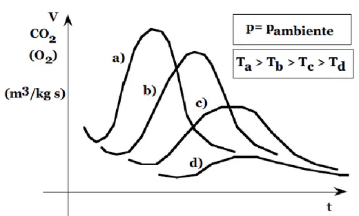 Fig. 1.1. Andamento della produzione  a unità di tempo  (e per kg di prodotto organico) dei principali  prodotti della reazione catabolica