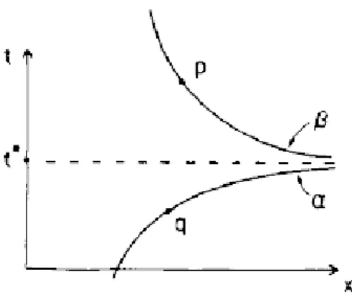 Figura 2.1: Particella che compare/scompare all’infinito