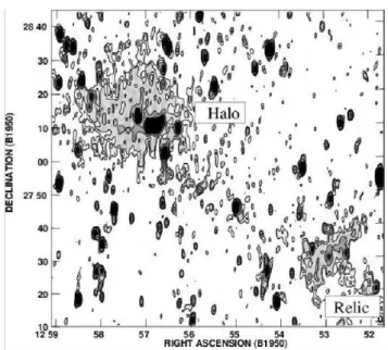 Fig  2.2:  Immagine  radio  dell’ammasso  di  Coma  a  90cm  del  telescopio  WRST  (Westerbork Synthesis Radio Telescope), con risoluzione (FWHM) di 55&#34; × 125&#34;