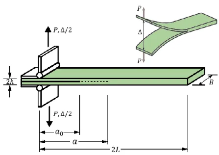 Figura 3.1. Schematizzazione del Double Cantilever Beam test. Uso di cerniere per l’afferraggio