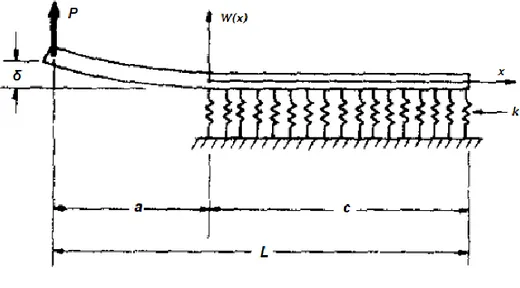 Figura 3.4. Schematizzazione della prova DCB “aumentata”. Provino su fondazione elastica