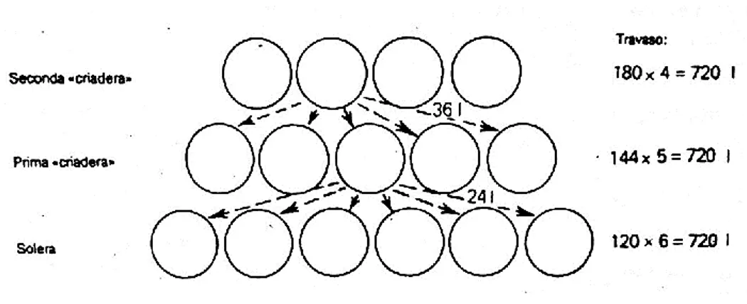 Fig. 2.3 – Esempio del sistema di invecchiamento “Criaderas y Solera” adottato per il Jeréz