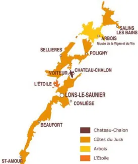 Fig.  3.2  –  Denominazioni  d’Origine  (AOC)  di  produzione  vitivinicola  della  regione  del  Jura  (immagine  tratta  dal  sito  https://www.1001degustations.com/es/appellation-222-cotes-du-jura.html)