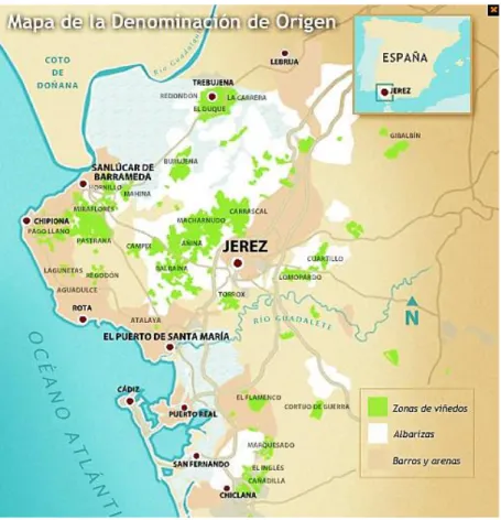 Fig. 2.1 – Zona di produzione della DO “Jerez-Xérès-Sherry” e “Manzanilla-Sanlucar de Barrameda”, detta Triangolo del Jerez (immagine tratta dal  sito web ufficiale del Consejo Regulador de las Denominaciones de Origen “Jerez-Xérès-Sherry”, “Manzanilla-San