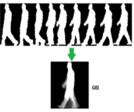 Figura 2.1: Un esempio di generazione della GEI. Immagine tratta da [4]. Si nota che nella GEI ci sono parti più luminose di altre: più una zona ha un alto livello di luminosità, più questa è occupata dal corpo dell'individuo durante il cammino; in sostanz