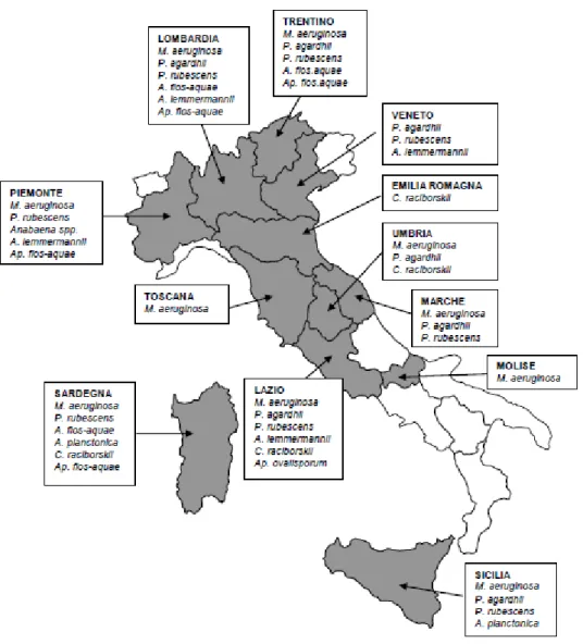 Figura 8. Mappa della distribuzione dei cianobatteri tossici in Italia (Rapporto ISTISAN 08/6).