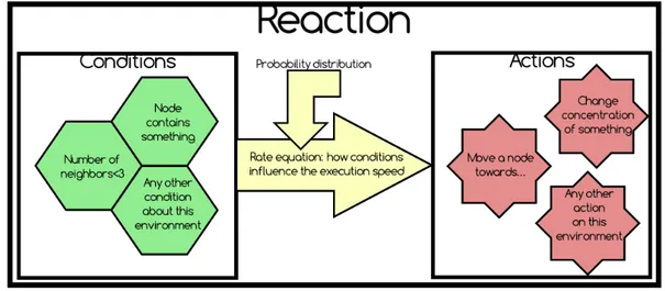 Figura 2.2: Illustrazione modello reazione di Alchemist