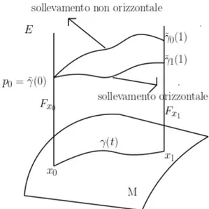Figura 1.3: Rappresentazione di sollevamenti di γ. La curva ˜ γ 0 ` e un sollevamento non