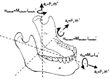 Figure 1.5 – Six degrees of freedom for jaw movement. Where: a=accelerations, F=forces, m=mass,  α=angular accelerations, M=torques, I= moments of inertia.
