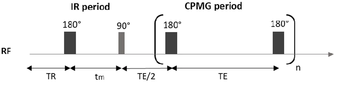 Figure 11. Pulse sequence used to acquire  