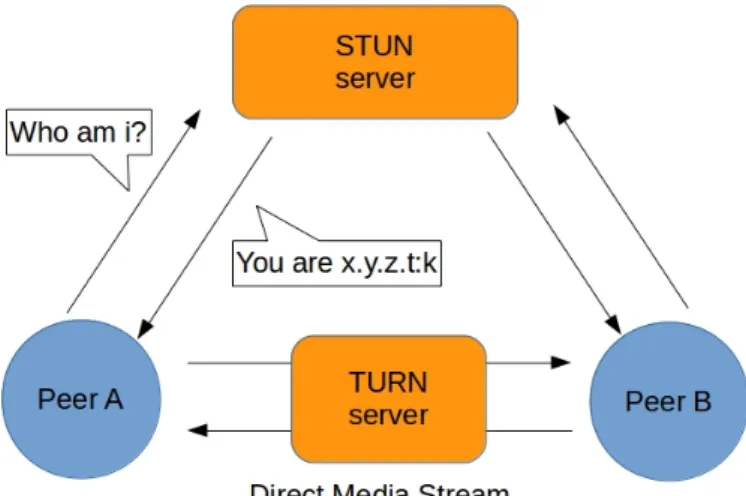 Figura 2.5: TURN Server