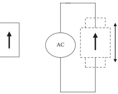 Figura 2.6. Effetto piezoelettrico inverso con generatore AC [1]