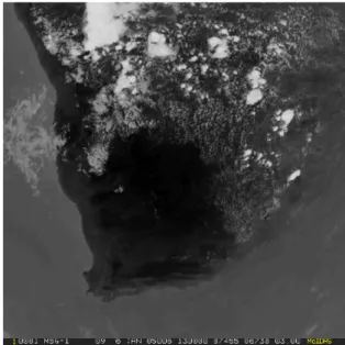 Figura 1.4: immagine in IR della regione sudafricana il 6 gennaio 2005 alle ore 13:00 UTC (EUMETSAT, Global Instability Index: Product Guide)